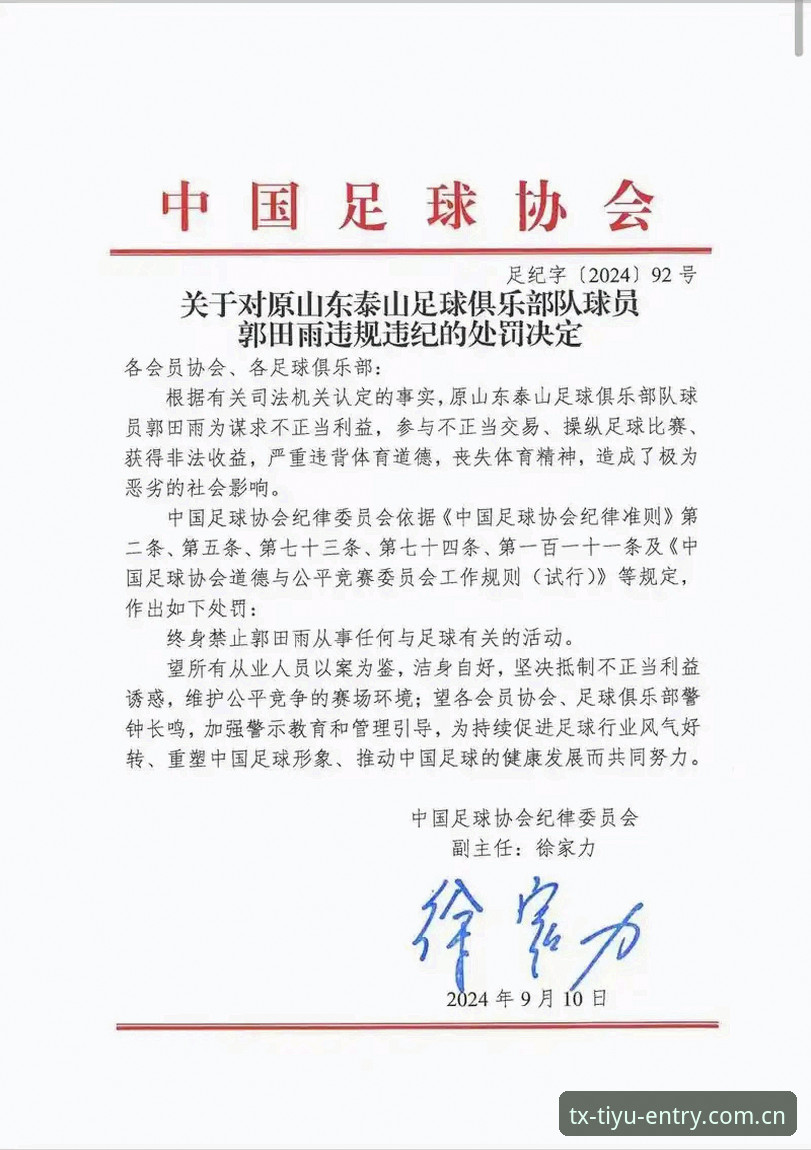 天行体育注册步骤功能详解 深度揭秘:足协第三批禁足名单背后的足坛反腐风暴